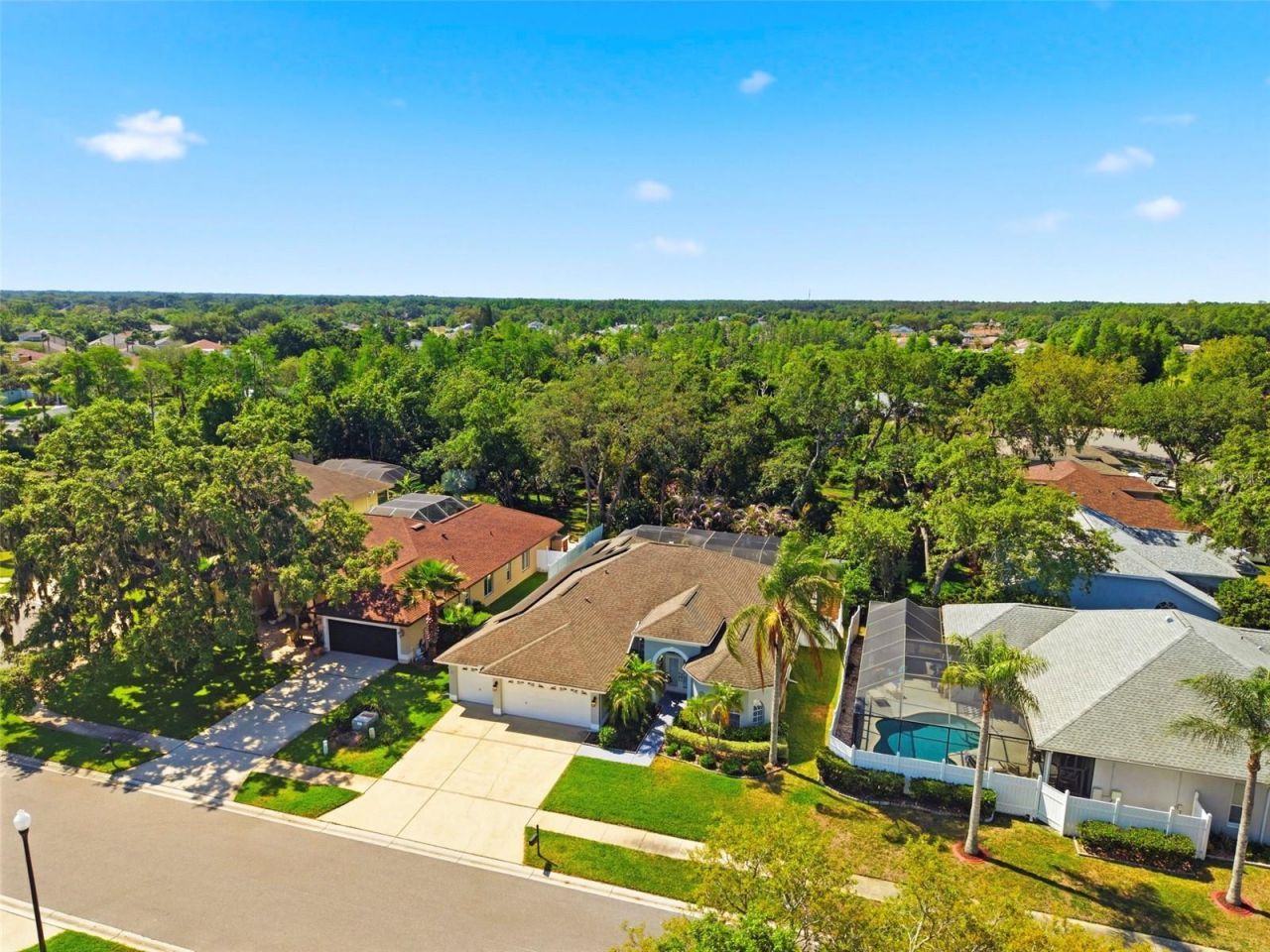 8530 Orsi Court , Trinity, FL 34655 Photo