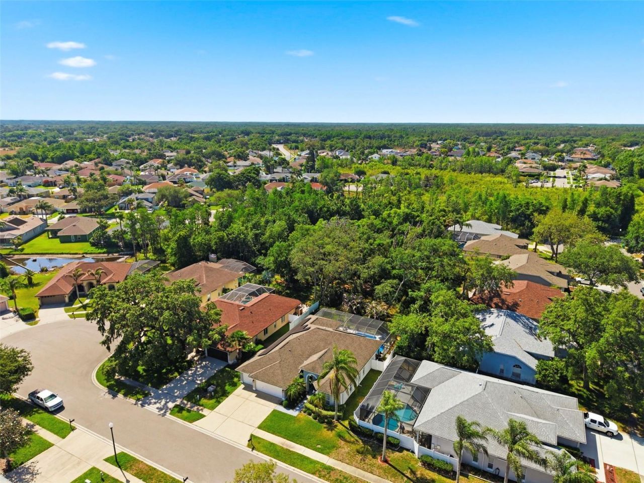 8530 Orsi Court , Trinity, FL 34655 Photo