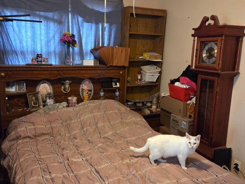 110 Maryland Avenue , London, OH 43140 Photo 26