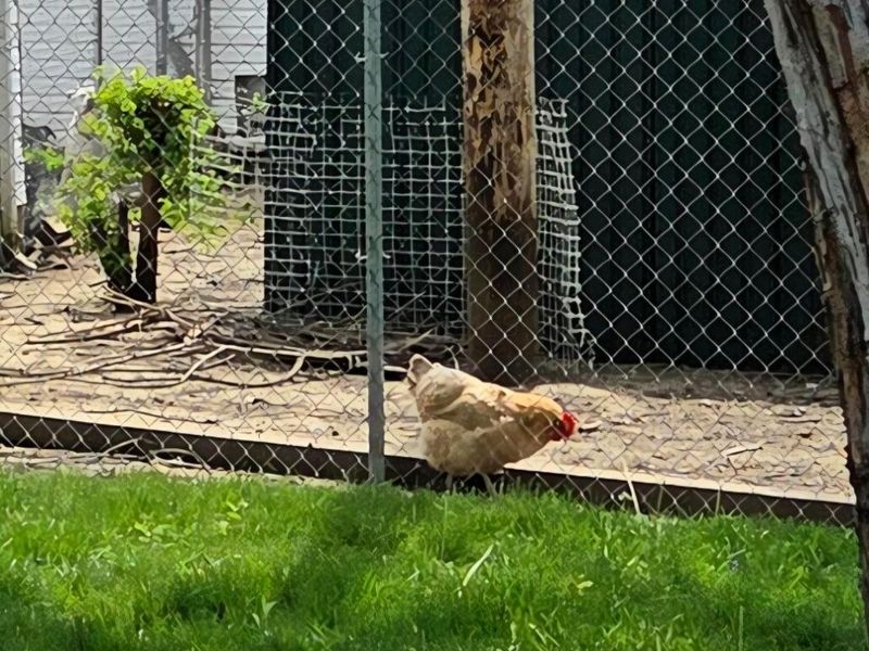 110 Maryland Avenue , London, OH 43140 Photo 5