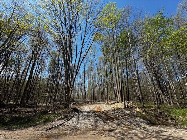 v/l Hines Road, Kingsville, OH 44048