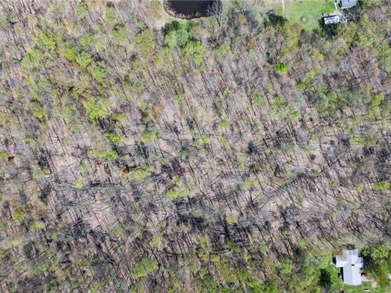 v/l Hines Road, Kingsville, OH 44048 Photo 11