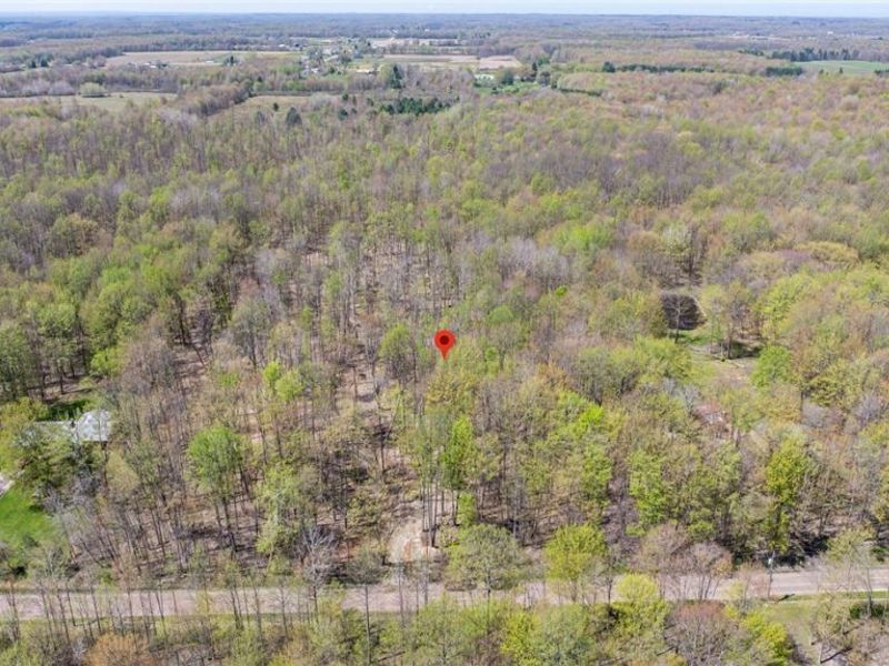 v/l Hines Road, Kingsville, OH 44048 Photo 12