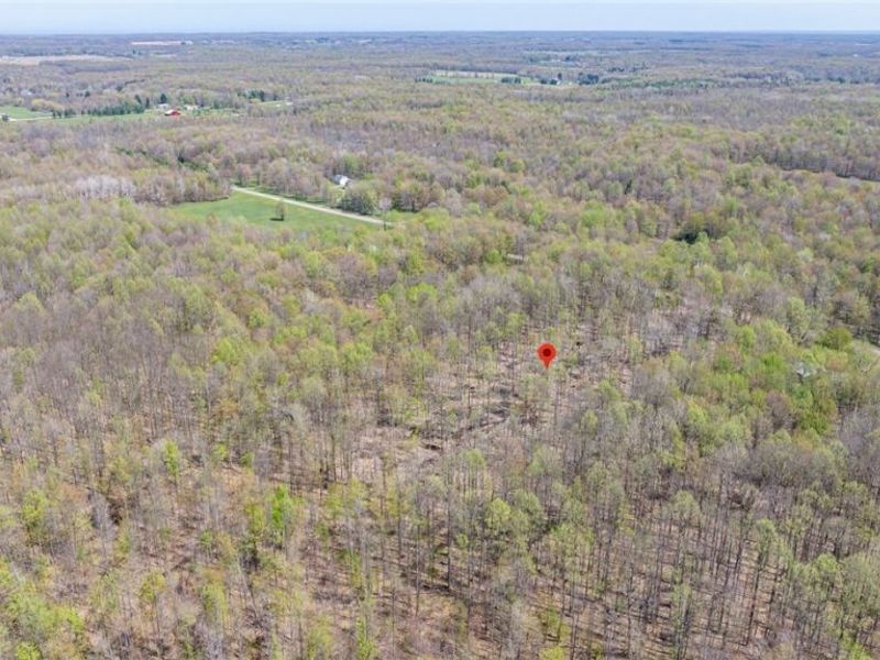 v/l Hines Road, Kingsville, OH 44048 Photo 13