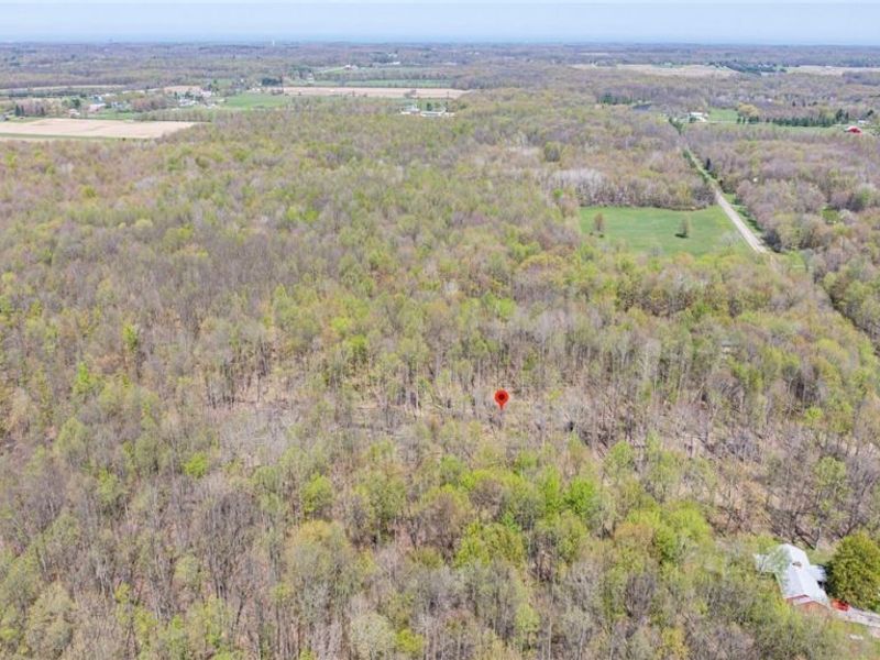 v/l Hines Road, Kingsville, OH 44048 Photo 14