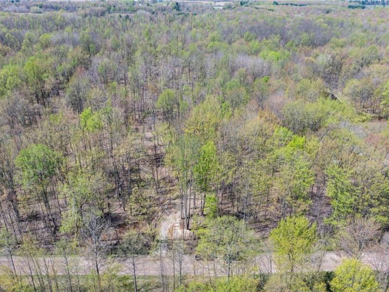 v/l Hines Road, Kingsville, OH 44048 Photo 15