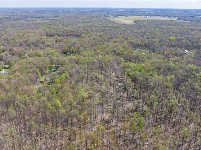 v/l Hines Road, Kingsville, OH 44048 Photo 16