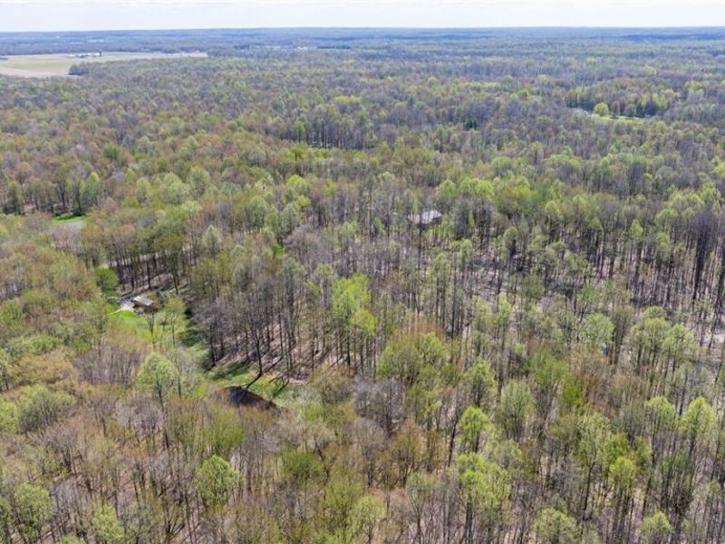 v/l Hines Road, Kingsville, OH 44048 Photo 17