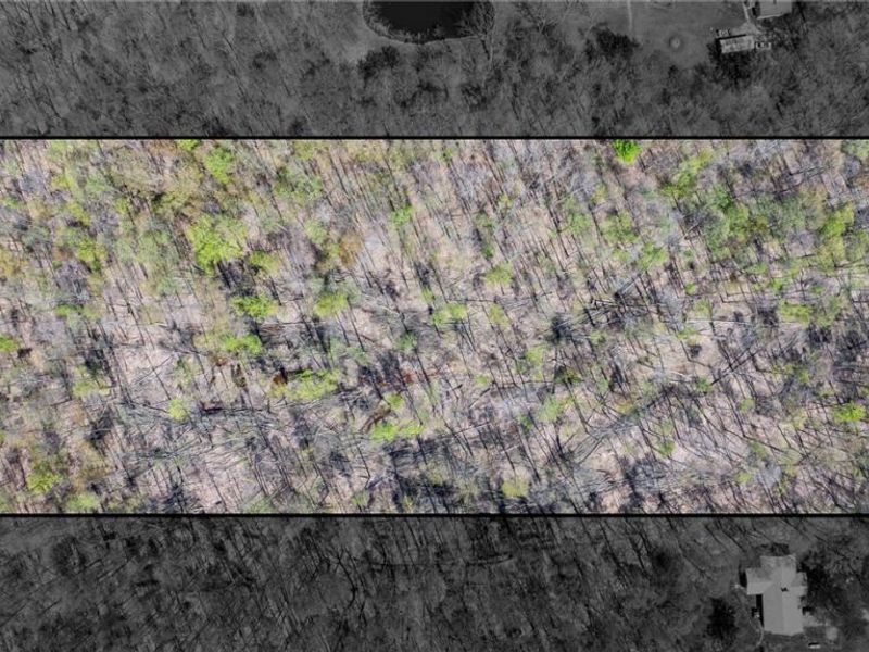 v/l Hines Road, Kingsville, OH 44048 Photo 5