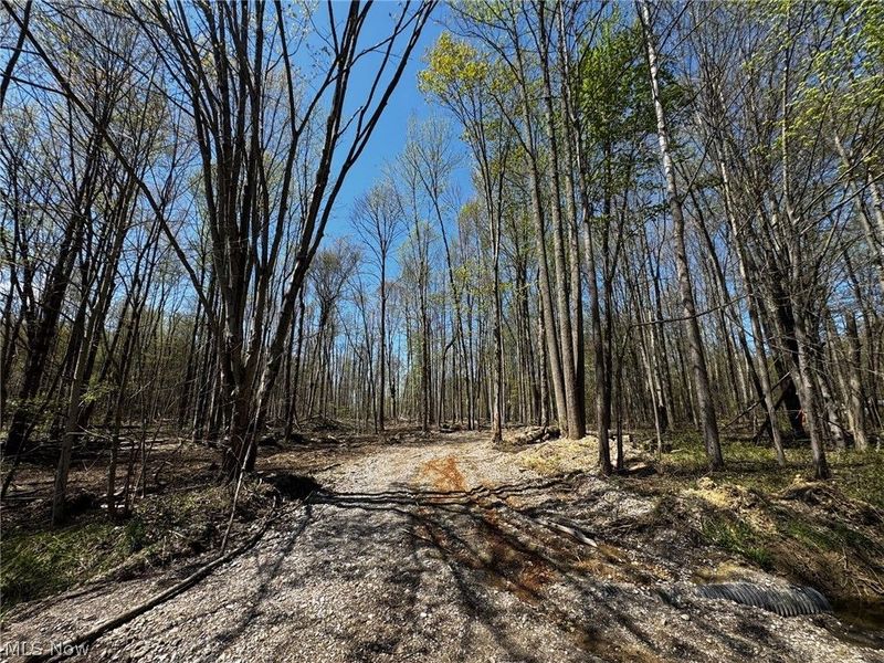 v/l Hines Road, Kingsville, OH 44048 Photo 6