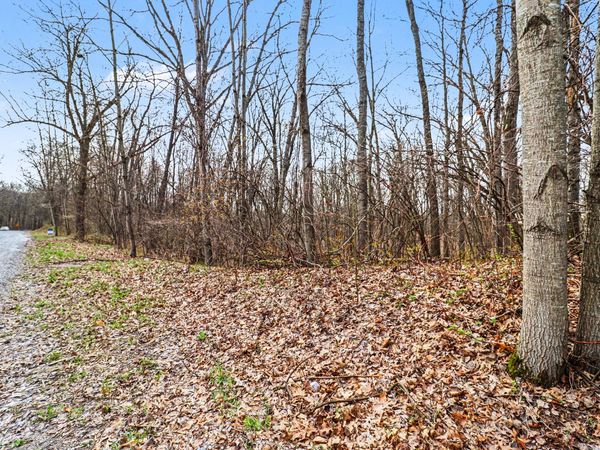 Cedar Springs, MI 49319