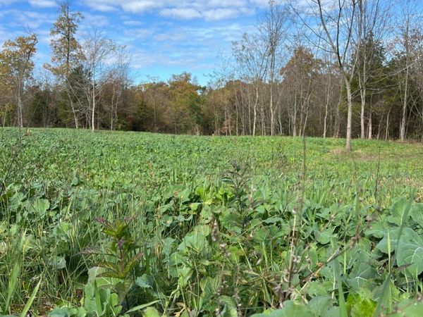 0 Harriett Road, Marshall Twp, OH 45133