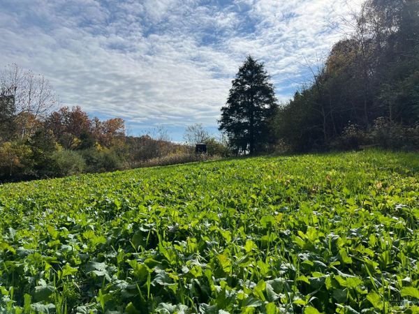 0 Harriett Road, Marshall Twp, OH 45133