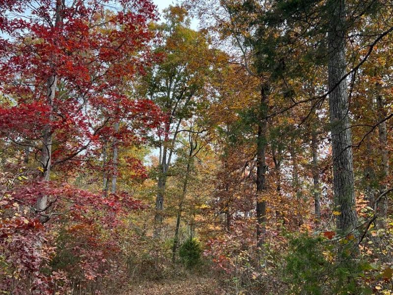 0 Harriett Road, Marshall Twp, OH 45133 Photo 18