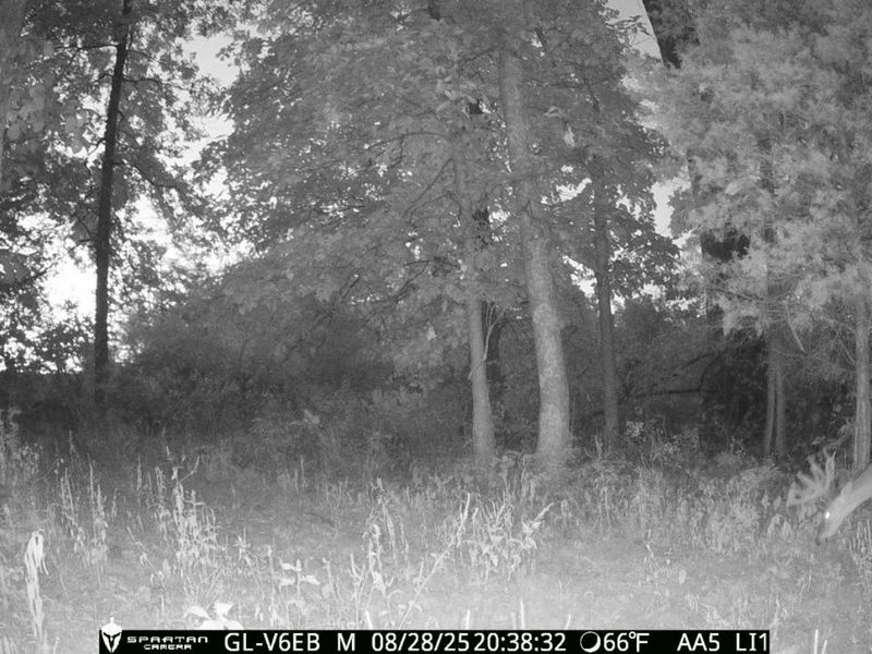 0 Harriett Road, Marshall Twp, OH 45133 Photo 31
