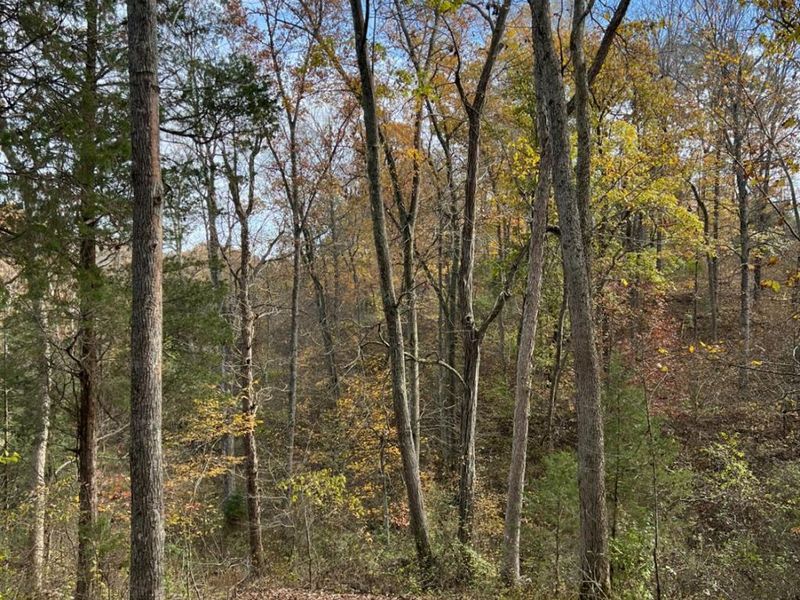 0 Harriett Road, Marshall Twp, OH 45133 Photo 72