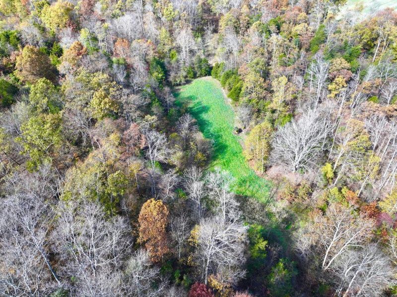 0 Harriett Road, Marshall Twp, OH 45133 Photo 82