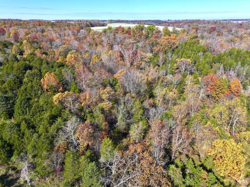0 Harriett Road, Marshall Twp, OH 45133 Photo 87