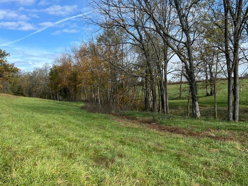 0 Harriett Road, Marshall Twp, OH 45133 Photo 9