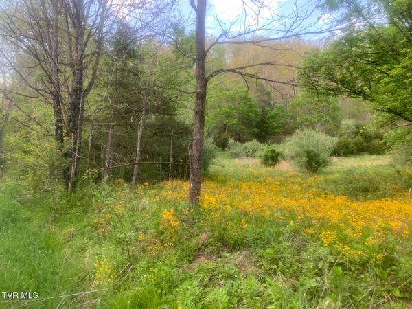 Tbd Osborne Ridge Road, Dungannon, VA 24245