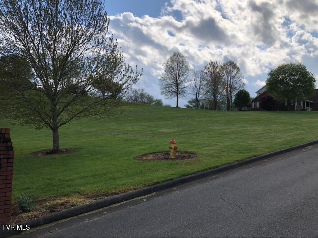 Lot 10 Oak View Street, Mountain City, TN 37683 Main Photo