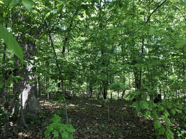 0 Devin Dr , Lawrenceburg, TN 38464