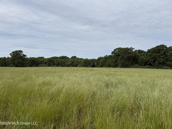 813 Holmesville Road, Jayess, MS 39641