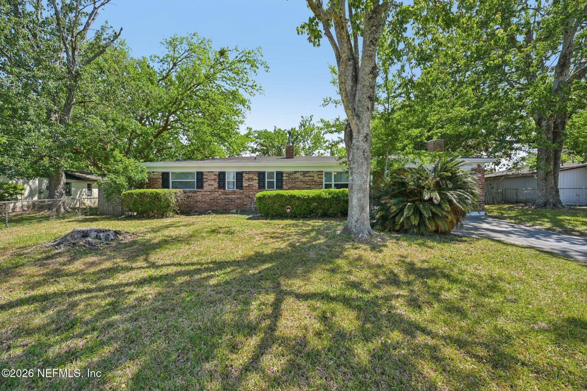 8032 Lourdes Drive S, Jacksonville, FL 32210 Main Photo