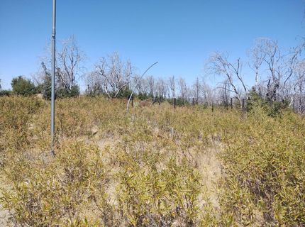 363 Raccoon Rd, Berry Creek, CA 05016 Photo