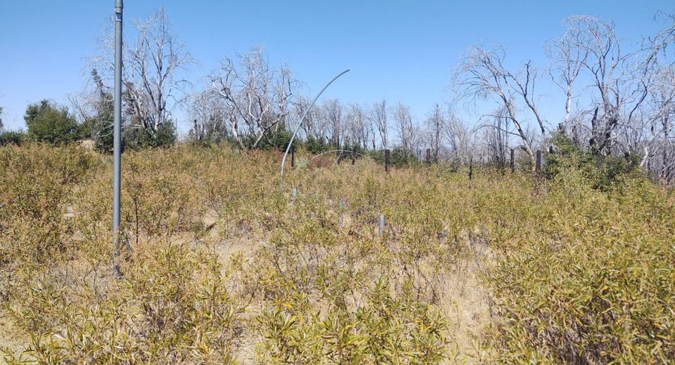 363 Raccoon Rd, Berry Creek, CA 05016 Photo