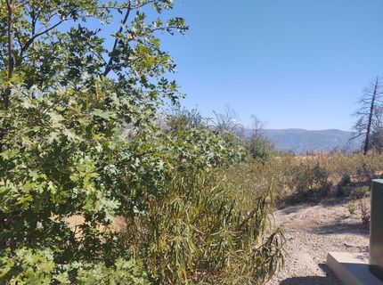 363 Raccoon Rd, Berry Creek, CA 05016 Photo