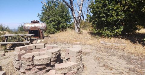 363 Raccoon Rd, Berry Creek, CA 05016 Photo