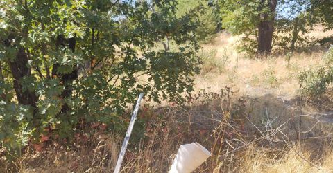 363 Raccoon Rd, Berry Creek, CA 05016 Photo