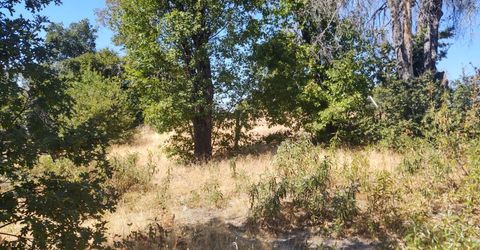 363 Raccoon Rd, Berry Creek, CA 05016 Photo