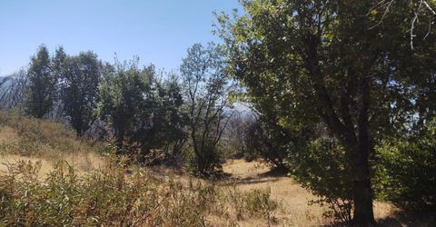 363 Raccoon Rd, Berry Creek, CA 05016 Photo