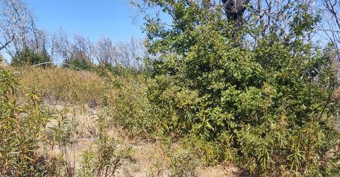 363 Raccoon Rd, Berry Creek, CA 05016 Photo