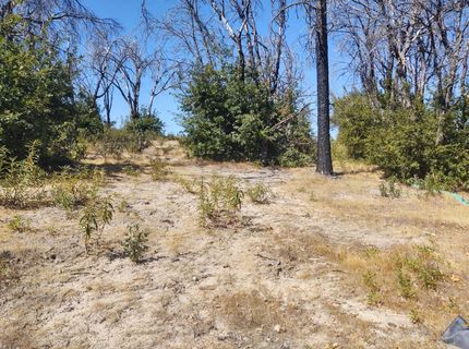 363 Raccoon Rd, Berry Creek, CA 05016 Photo