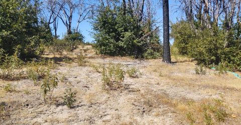 363 Raccoon Rd, Berry Creek, CA 05016 Photo