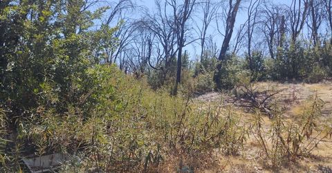 363 Raccoon Rd, Berry Creek, CA 05016 Photo