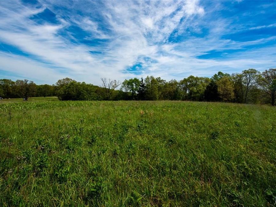 Property Image 19