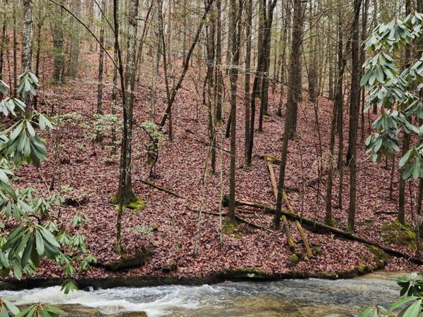 470 Bear Branch Rd, Wartburg, TN 37887