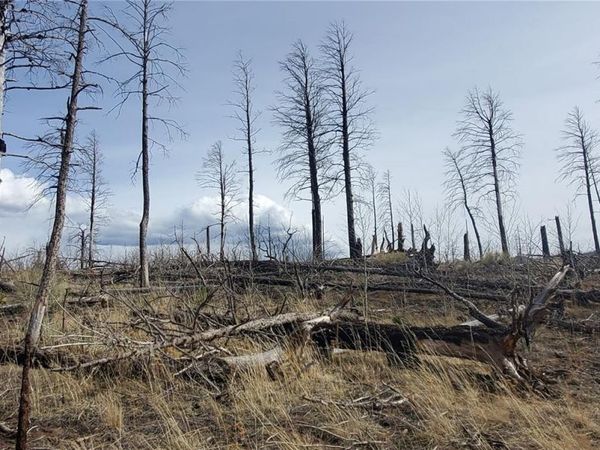 lot 1223 Emery Loop , Fort Garland, CO 81133