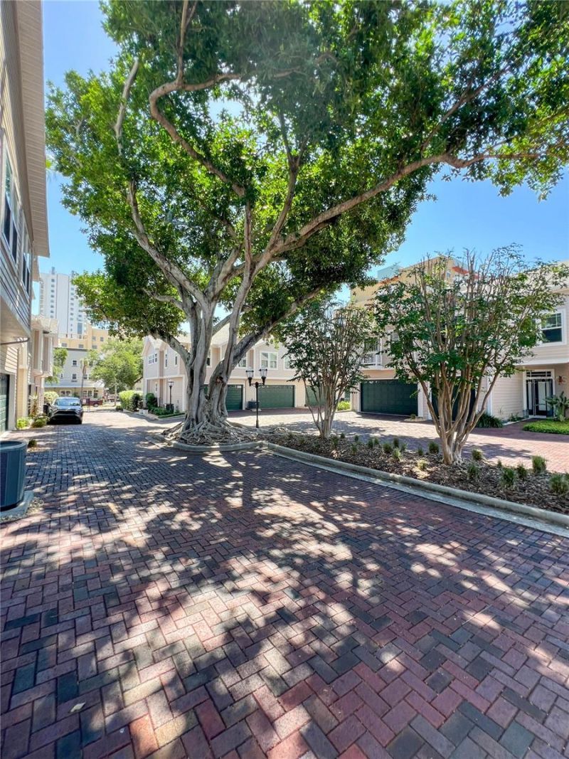 350 2nd Street N, Unit 8, Saint Petersburg, FL 33701 Photo