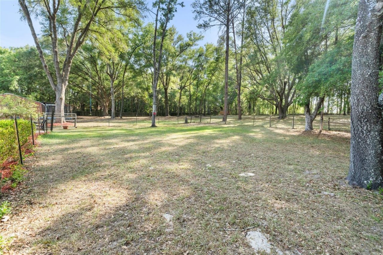 1114 SW 143rd Street , Newberry, FL 32669 Photo