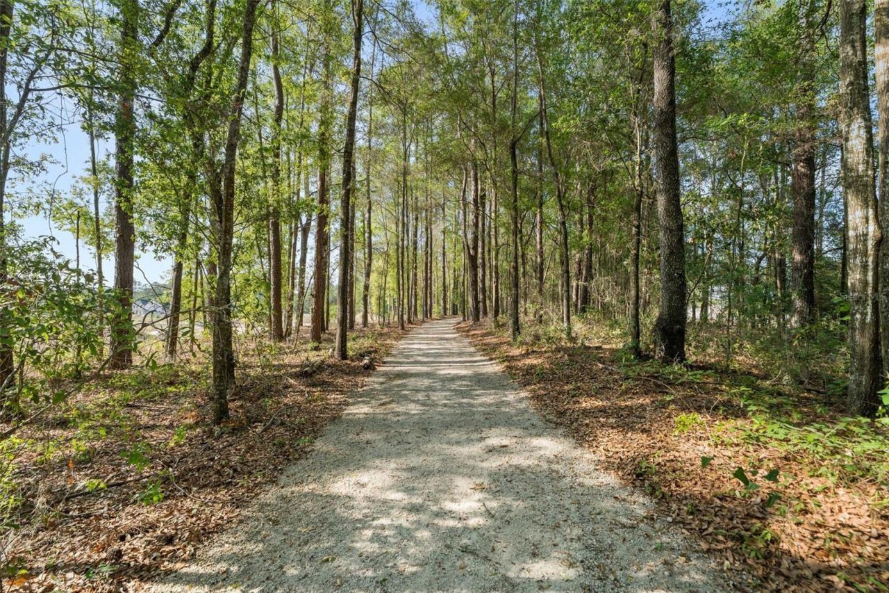 1114 SW 143rd Street , Newberry, FL 32669 Photo