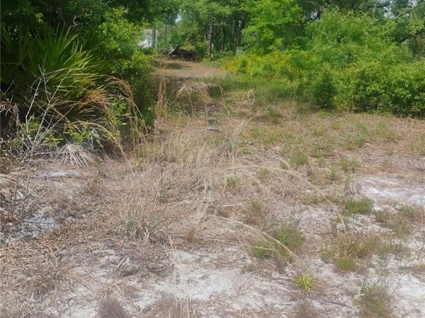 BROOKSIDE CIRCLE , MOUNT DORA, FL 32757