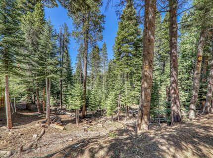 10902 Laurelwood Drive, Truckee, CA 96161 Photo