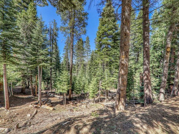 10902 Laurelwood Drive, Truckee, CA 96161