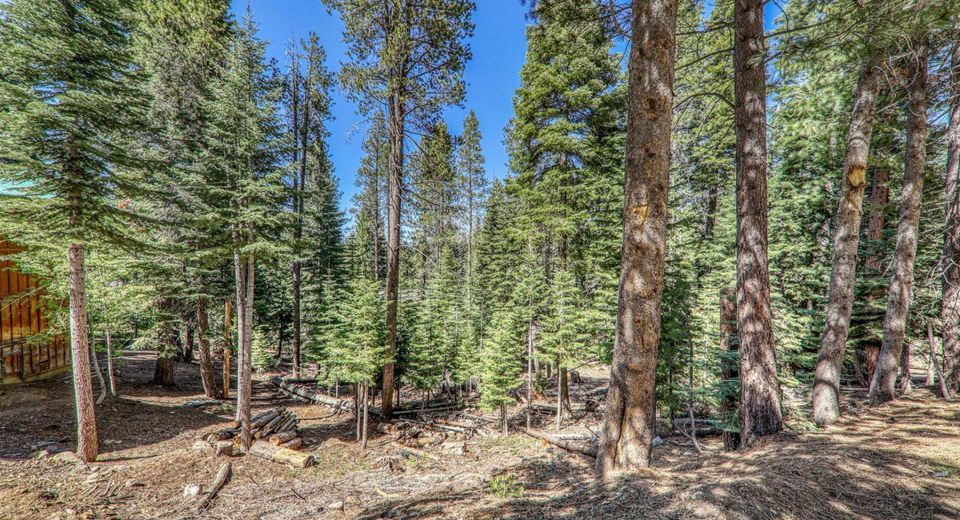 10902 Laurelwood Drive, Truckee, CA 96161 Photo