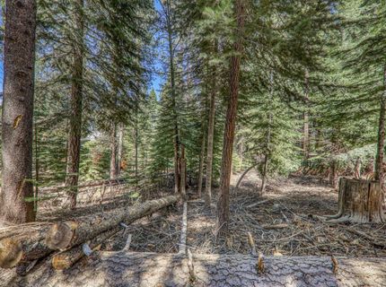 10902 Laurelwood Drive, Truckee, CA 96161 Photo